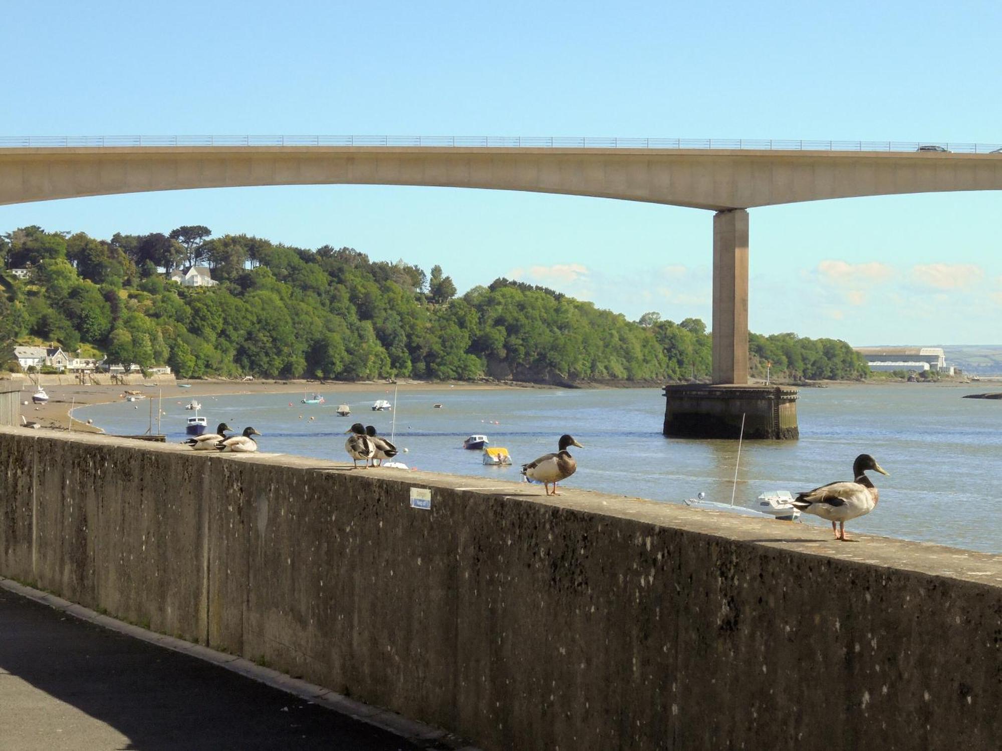 Riverside Mews Bideford Exteriör bild
